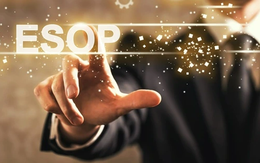 REE muốn phát hành ESOP