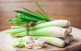 Vì sao người xưa thích trồng cây sả quanh nhà?