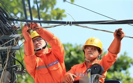 Chuyên gia, EVN nói về lợi nhuận tiền gửi