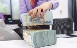 Vì sao tiền gửi cá nhân 'bỏ xa' doanh nghiệp?