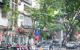 Hà Nội: Vi phạm trông giữ xe nhiều lần sẽ bị thu hồi giấy phép