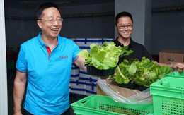 Phát hiện người đàn ông kiếm hơn 31.000 tỷ đồng/năm nhờ kinh doanh rau củ