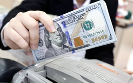 Diễn biến bất ngờ của giá USD trên thị trường tự do