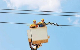 Phát hiện vật thể nhìn như rắn quấn quanh đường dây điện của Trung Quốc: "Thân phận" thực sự gây bất ngờ