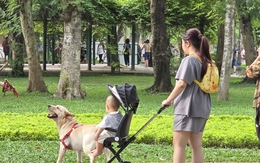 Thông tin quan trọng liên quan đến toàn bộ người nuôi động vật, thú cưng từ 1/8