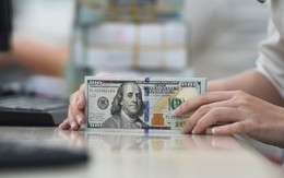 Dự báo mới nhất về tỷ giá USD từ nay đến cuối năm 2026