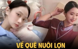Bỏ việc tiếp viên hàng không về quê nuôi lợn, tháng kiếm hơn 300 triệu