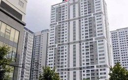 Biến động sở hữu của nhóm quỹ ngoại tại Taseco Land