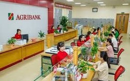 Agribank phát thông báo quan trọng ngày 15/6