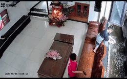 Đàn cá Koi Nhật hơn chục con lăn ra chết, camera tiết lộ nguồn cơn từ hành động của “khối nghỉ hè”