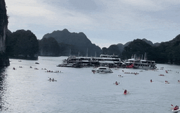 Cảnh tượng ở vịnh Lan Hạ, Cát Bà khiến nhiều người bất ngờ, thốt lên: Không tin vào mắt mình