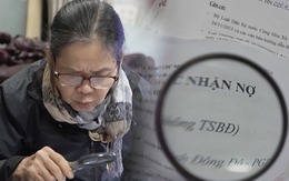 Vụ lừa đảo "kỳ nghỉ": Đây là lý do người cao tuổi dễ sập bẫy