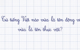 Trong tiếng Việt có một từ vừa là tên động vật vừa là tên thực vật