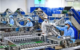 Thu hút vốn FDI: Không thể chỉ trông chờ 'đại bàng' đến làm tổ