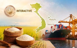 Trung Quốc, Iraq, Ukraine đồng loạt mang tin vui đến Việt Nam