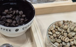 Giá cà phê hôm nay 17-6: Arabica bùng nổ, Robusta nối dài chuỗi tăng