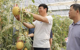 Phát minh của Trung Quốc gây sốc ngành rau quả: Tạo ra ‘dưa hấu vũ trụ’ có hương vị sữa, chocolate, thu về hơn 30.000 đơn đặt hàng