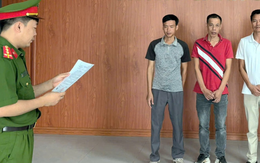 Ra quyết định khởi tố hàng loạt Giám đốc, Phó Giám đốc, Quản lý công ty