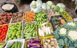 Lương sắp tăng, giá xăng dầu giảm, chi phí tiêu dùng ra sao?
