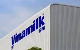 Vinamilk sắp chi gần 3.900 tỷ đồng trả cổ tức tiền mặt tỷ lệ 18,5%