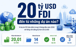 20 tỷ đô vốn FDI đổ vào Việt Nam: Cảng trung chuyển Cần Giờ, Samsung, Nhà Bè Metrocity và LNG Quỳnh Lập 'sáng rực'