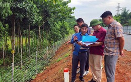 Khẩn trương giải phóng mặt bằng Dự án đường sắt Lào Cai - Hà Nội - Hải Phòng