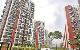 Làm môi giới bất động sản nhưng mua nhà vẫn chật vật: Câu chuyện 3 lần xuống tiền và những bài học đắt giá về thời điểm