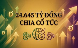 Kỷ lục ở Việt Nam: Chi gần 1 tỷ USD tiền mặt chỉ để trả cổ tức