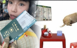 Du khách quốc tế truyền tai nhau mẹo ăn ngon ở Việt Nam: Bàn nhựa, ghế đỏ và chó béo