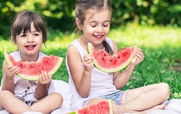Mùa picnic đến rồi: Tránh ngay 6 sai lầm khiến thực phẩm nhanh biến thành "ổ vi khuẩn" dưới trời nắng nóng