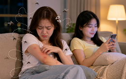Ngồi cùng một chỗ, vì sao có người bị muỗi đốt nhiều hơn hẳn?