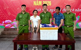 Bắt giữ 2 vợ chồng Lữ Thị Tú