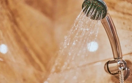 Tắm kiểu này vào mùa hè thực sự quá sức đối với não và tim