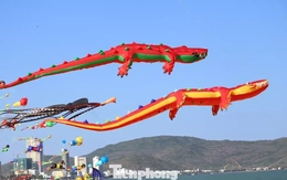 Xem cá sấu dài hơn 30m bay lượn ở biển Quy Nhơn