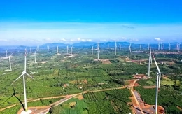 "Siêu công trình" điện gió 16.500 tỷ đồng, lớn bậc nhất Việt Nam