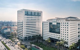 REE sắp họp bất thường: Mở rộng vai trò Ủy ban Chiến lược do bà Mai Thanh làm Chủ tịch, phát hành 500.000 cổ phiếu ESOP