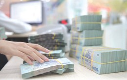 Loạt ngân hàng sắp chia cổ tức, cổ phiếu thưởng