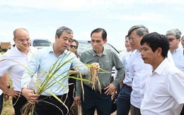 Gặp Bộ trưởng Việt Nam, Bí thư Tỉnh ủy Cuba “ngỏ lời” về lĩnh vực DN Việt lập kỳ tích 9 tấn/ha ở nước bạn