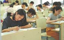Ngành ngoại ngữ đang bị 70 trường đại học khai tử hàng loạt, AI khiến dịch thuật không còn là kỹ năng sống còn