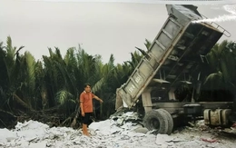 Khởi tố người đổ trái phép gần 600 tấn chất thải công nghiệp ở Tây Ninh