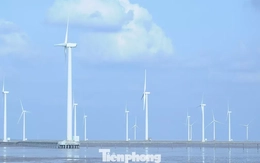 Gần 22.000 tỷ đồng đầu tư 2 dự án điện gió ở Cần Thơ