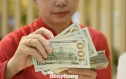 Lý do dự trữ ngoại hối từ kỷ lục hơn 111 tỷ USD 'rơi' xuống gần 88 tỷ USD