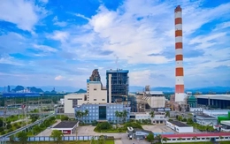 Nhiều lãnh đạo doanh nghiệp vướng lao lý, ngành điện ứng phó ra sao?