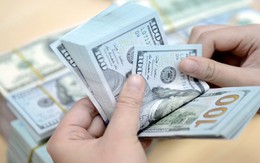 Ngân hàng Nhà nước ra khuyến cáo khẩn đến toàn bộ người dân mua bán ngoại tệ