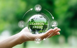 Chuẩn bị vận hành chính thức sàn giao dịch các-bon trong nước