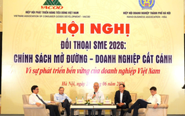 Chuyên gia hiến kế giúp SME tận dụng chính sách, tiếp cận vốn và tăng trưởng