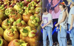 Nữ hoàng trái cây Việt giá 3 triệu/kg khiến khách Hàn lùng sục, làm ông hoàng Kpop mê điên đảo theo