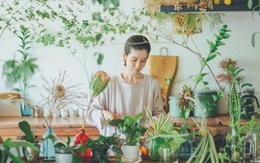 Người phụ nữ U40 biến căn bếp thành “khu vườn xanh” với hơn 30 loại cây: Mỗi sáng thức dậy đều thấy cuộc sống đáng yêu hơn