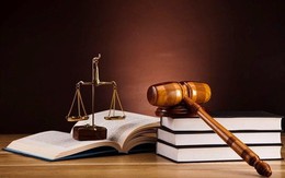 Bộ Chính trị yêu cầu nghiên cứu giảm phạt tù trong lĩnh vực kinh tế, công nghệ