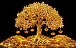 Những lần đổi tên mang đậm chất phong thủy của các ngân hàng Việt Nam: Điểm đặc biệt đằng sau từ khoá “Thịnh Vượng”, “Lộc Phát”, “Tài Lộc”